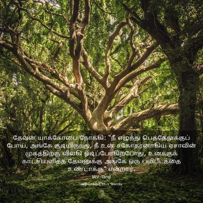 Picture 03 - ஆதியாகமம் 35:1 TAMIRV - தேவன் யாக்கோபை - Bible Verse Picture