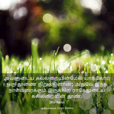 Picture 03 - ஆதியாகமம் 35:20 TAMIRV - அவளுடைய - Bible Verse Picture