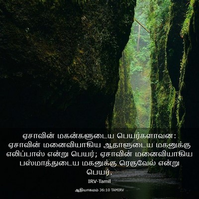 Picture 03 - ஆதியாகமம் 36:10 TAMIRV - ஏசாவின் - Bible Verse Picture