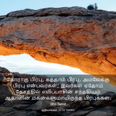 Picture 03 - ஆதியாகமம் 36:16 TAMIRV - கோராகு பிரபு, - Bible Verse Picture