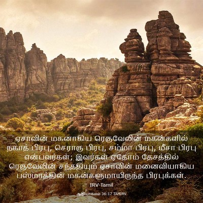 Picture 03 - ஆதியாகமம் 36:17 TAMIRV - ஏசாவின் மகனாகிய - Bible Verse Picture