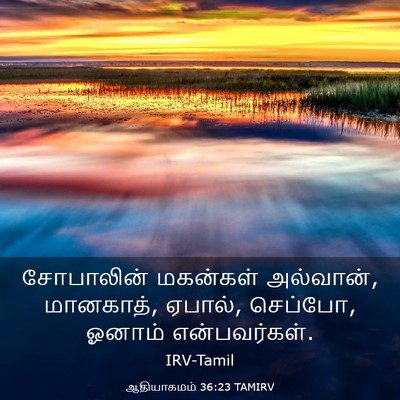Picture 03 - ஆதியாகமம் 36:23 TAMIRV - சோபாலின் மகன்கள் - Bible Verse Picture