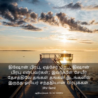 Picture 03 - ஆதியாகமம் 36:30 TAMIRV - திஷோன் பிரபு, - Bible Verse Picture