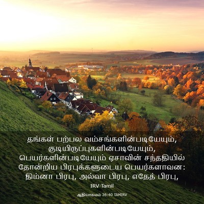 Picture 03 - ஆதியாகமம் 36:40 TAMIRV - தங்கள் பற்பல - Bible Verse Picture