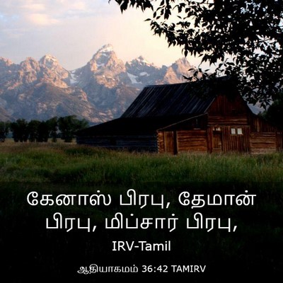 Picture 03 - ஆதியாகமம் 36:42 TAMIRV - கேனாஸ் பிரபு, - Bible Verse Picture