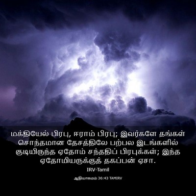 Picture 03 - ஆதியாகமம் 36:43 TAMIRV - மக்தியேல் பிரபு, - Bible Verse Picture