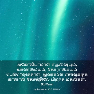 Picture 03 - ஆதியாகமம் 36:5 TAMIRV - அகோலிபாமாள் - Bible Verse Picture