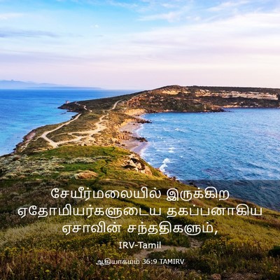 Picture 03 - ஆதியாகமம் 36:9 TAMIRV - சேயீர்மலையில் - Bible Verse Picture