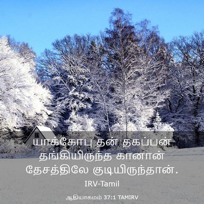 Picture 03 - ஆதியாகமம் 37:1 TAMIRV - யாக்கோபு தன் - Bible Verse Picture