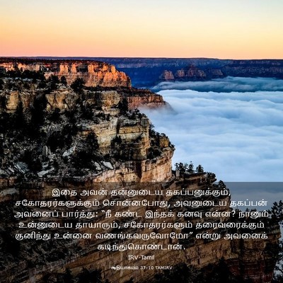 Picture 03 - ஆதியாகமம் 37:10 TAMIRV - இதை அவன் தன்னுடைய - Bible Verse Picture