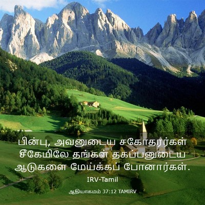 Picture 03 - ஆதியாகமம் 37:12 TAMIRV - பின்பு, அவனுடைய - Bible Verse Picture