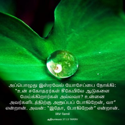 Picture 03 - ஆதியாகமம் 37:13 TAMIRV - அப்பொழுது - Bible Verse Picture
