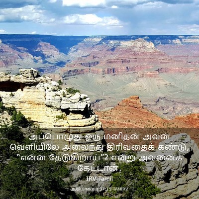 Picture 03 - ஆதியாகமம் 37:15 TAMIRV - அப்பொழுது ஒரு - Bible Verse Picture