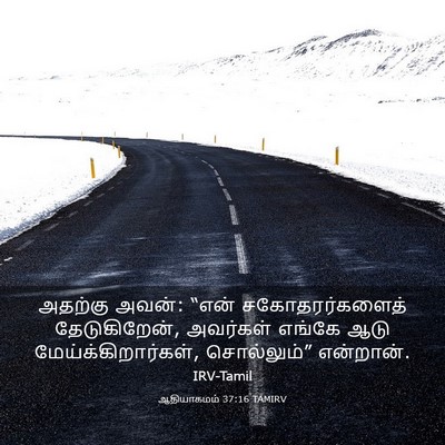 Picture 03 - ஆதியாகமம் 37:16 TAMIRV - அதற்கு அவன்: “என் - Bible Verse Picture