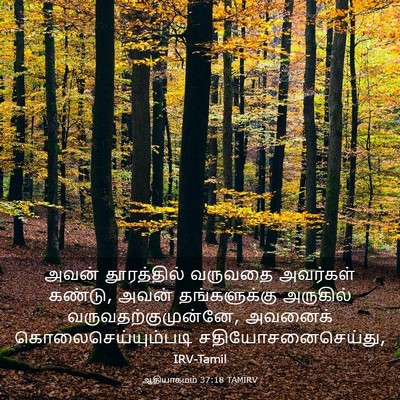 Picture 03 - ஆதியாகமம் 37:18 TAMIRV - அவன் தூரத்தில் - Bible Verse Picture
