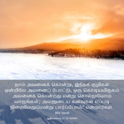 Picture 03 - ஆதியாகமம் 37:20 TAMIRV - நாம் அவனைக் - Bible Verse Picture