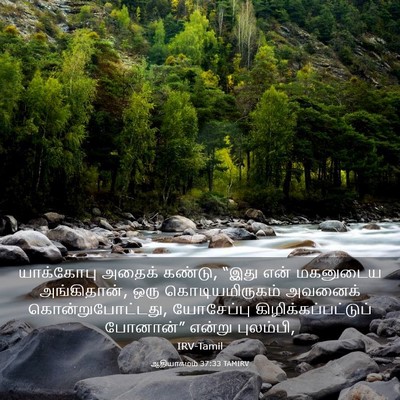 Picture 03 - ஆதியாகமம் 37:33 TAMIRV - யாக்கோபு அதைக் - Bible Verse Picture