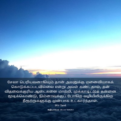 Picture 03 - ஆதியாகமம் 38:14 TAMIRV - சேலா - Bible Verse Picture
