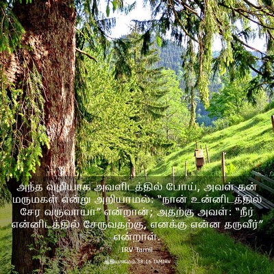 Picture 03 - ஆதியாகமம் 38:16 TAMIRV - அந்த வழியாக - Bible Verse Picture
