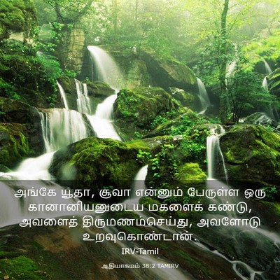 Picture 03 - ஆதியாகமம் 38:2 TAMIRV - அங்கே யூதா, சூவா - Bible Verse Picture