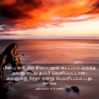 Picture 03 - ஆதியாகமம் 38:30 TAMIRV - பின்பு கையில் - Bible Verse Picture