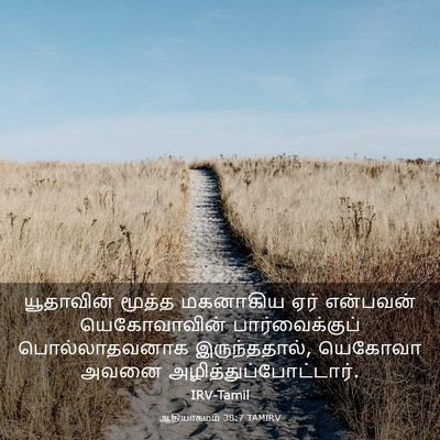 Picture 03 - ஆதியாகமம் 38:7 TAMIRV - யூதாவின் மூத்த - Bible Verse Picture