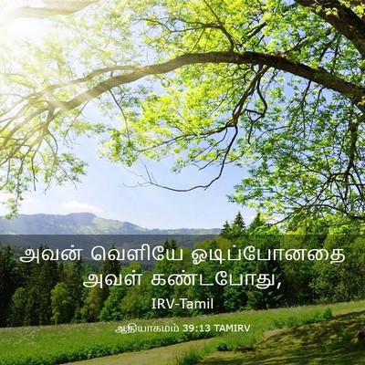 Picture 03 - ஆதியாகமம் 39:13 TAMIRV - அவன் வெளியே - Bible Verse Picture