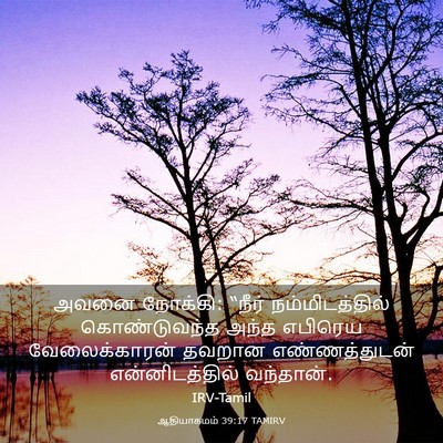 Picture 03 - ஆதியாகமம் 39:17 TAMIRV - அவனை நோக்கி: “நீர் - Bible Verse Picture
