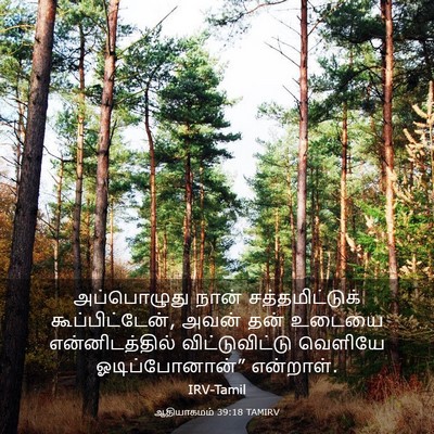 Picture 03 - ஆதியாகமம் 39:18 TAMIRV - அப்பொழுது நான் - Bible Verse Picture