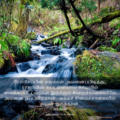 Picture 03 - ஆதியாகமம் 39:20 TAMIRV - யோசேப்பின் எஜமான் - Bible Verse Picture