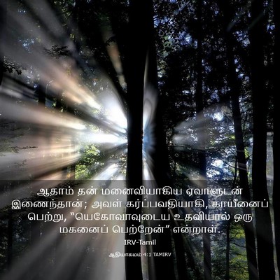Picture 03 - ஆதியாகமம் 4:1 TAMIRV - ஆதாம் தன் - Bible Verse Picture