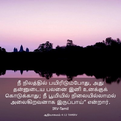 Picture 03 - ஆதியாகமம் 4:12 TAMIRV - நீ நிலத்தில் - Bible Verse Picture
