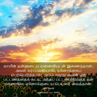 Picture 03 - ஆதியாகமம் 4:17 TAMIRV - காயீன் தன்னுடைய - Bible Verse Picture