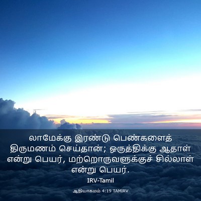 Picture 03 - ஆதியாகமம் 4:19 TAMIRV - லாமேக்கு இரண்டு - Bible Verse Picture