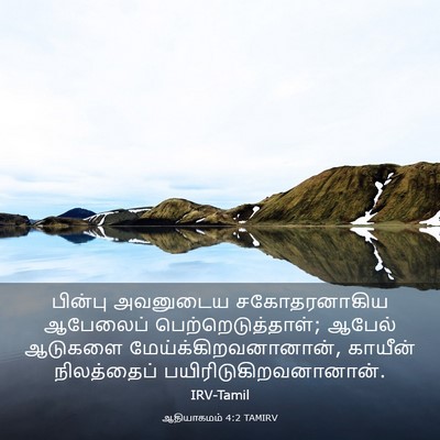 Picture 03 - ஆதியாகமம் 4:2 TAMIRV - பின்பு அவனுடைய - Bible Verse Picture