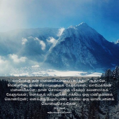 Picture 03 - ஆதியாகமம் 4:23 TAMIRV - லாமேக்கு தன் - Bible Verse Picture