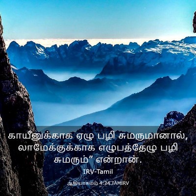 Picture 03 - ஆதியாகமம் 4:24 TAMIRV - காயீனுக்காக ஏழு - Bible Verse Picture