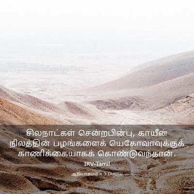 Picture 03 - ஆதியாகமம் 4:3 TAMIRV - சிலநாட்கள் - Bible Verse Picture