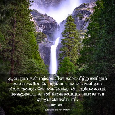Picture 03 - ஆதியாகமம் 4:4 TAMIRV - ஆபேலும் தன் - Bible Verse Picture