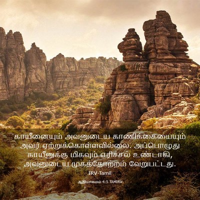 Picture 03 - ஆதியாகமம் 4:5 TAMIRV - காயீனையும் - Bible Verse Picture