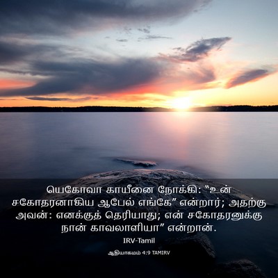 Picture 03 - ஆதியாகமம் 4:9 TAMIRV - யெகோவா காயீனை - Bible Verse Picture
