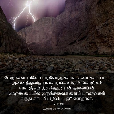 Picture 03 - ஆதியாகமம் 40:17 TAMIRV - மேற்கூடையிலே - Bible Verse Picture