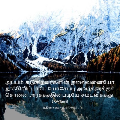 Picture 03 - ஆதியாகமம் 40:22 TAMIRV - அப்பம் - Bible Verse Picture