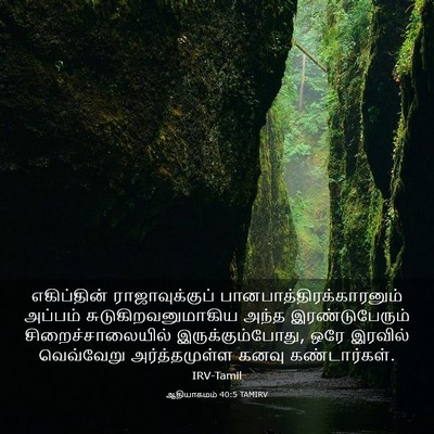 Picture 03 - ஆதியாகமம் 40:5 TAMIRV - எகிப்தின் - Bible Verse Picture