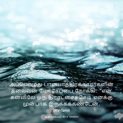 Picture 03 - ஆதியாகமம் 40:9 TAMIRV - அப்பொழுது - Bible Verse Picture
