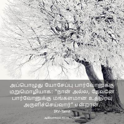 Picture 03 - ஆதியாகமம் 41:16 TAMIRV - அப்பொழுது - Bible Verse Picture