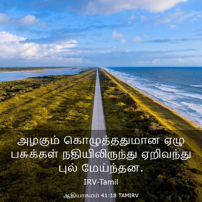 Picture 03 - ஆதியாகமம் 41:18 TAMIRV - அழகும் - Bible Verse Picture