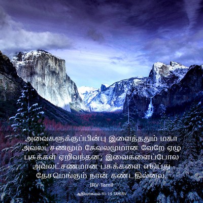 Picture 03 - ஆதியாகமம் 41:19 TAMIRV -  - Bible Verse Picture