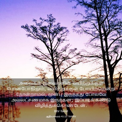 Picture 03 - ஆதியாகமம் 41:21 TAMIRV - அவைகள் இவைகளின் - Bible Verse Picture