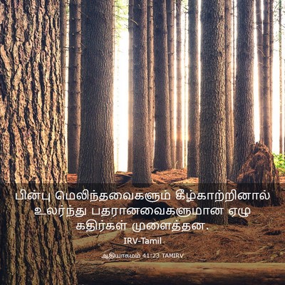 Picture 03 - ஆதியாகமம் 41:23 TAMIRV - பின்பு - Bible Verse Picture